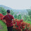 Muhammad_Danish_Hafi